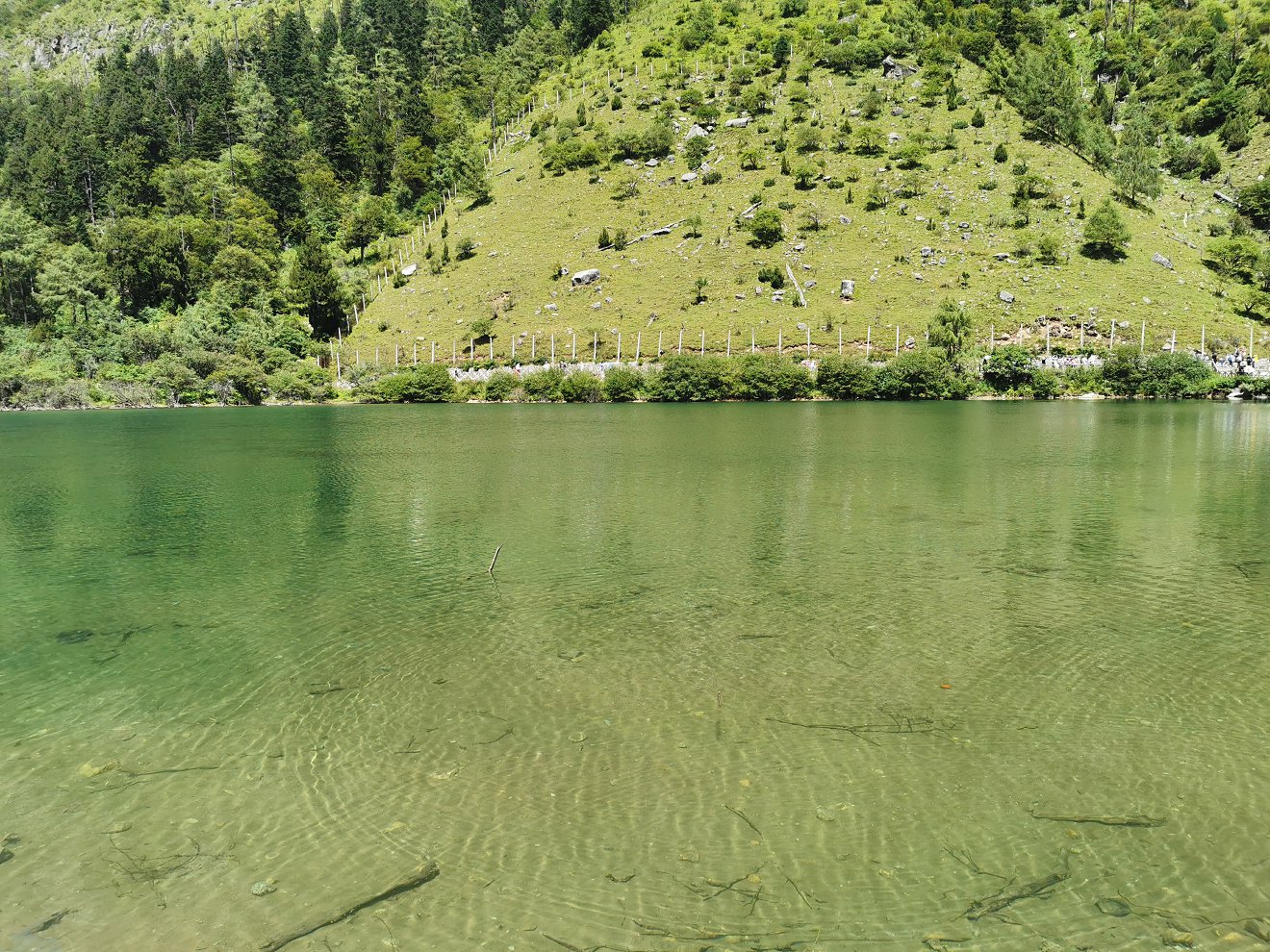 IMG_20190817_114514.jpg