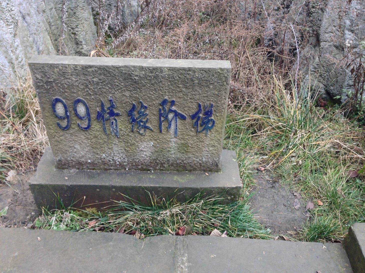 1579487562951.jpeg